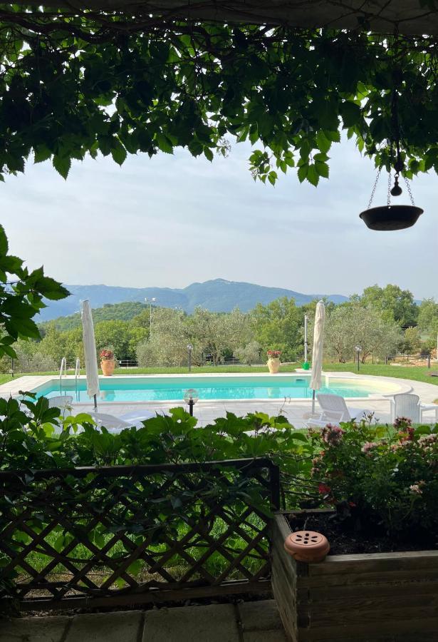 The Forest House Isernia Exterior foto